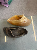 10 x empty cows hooves
