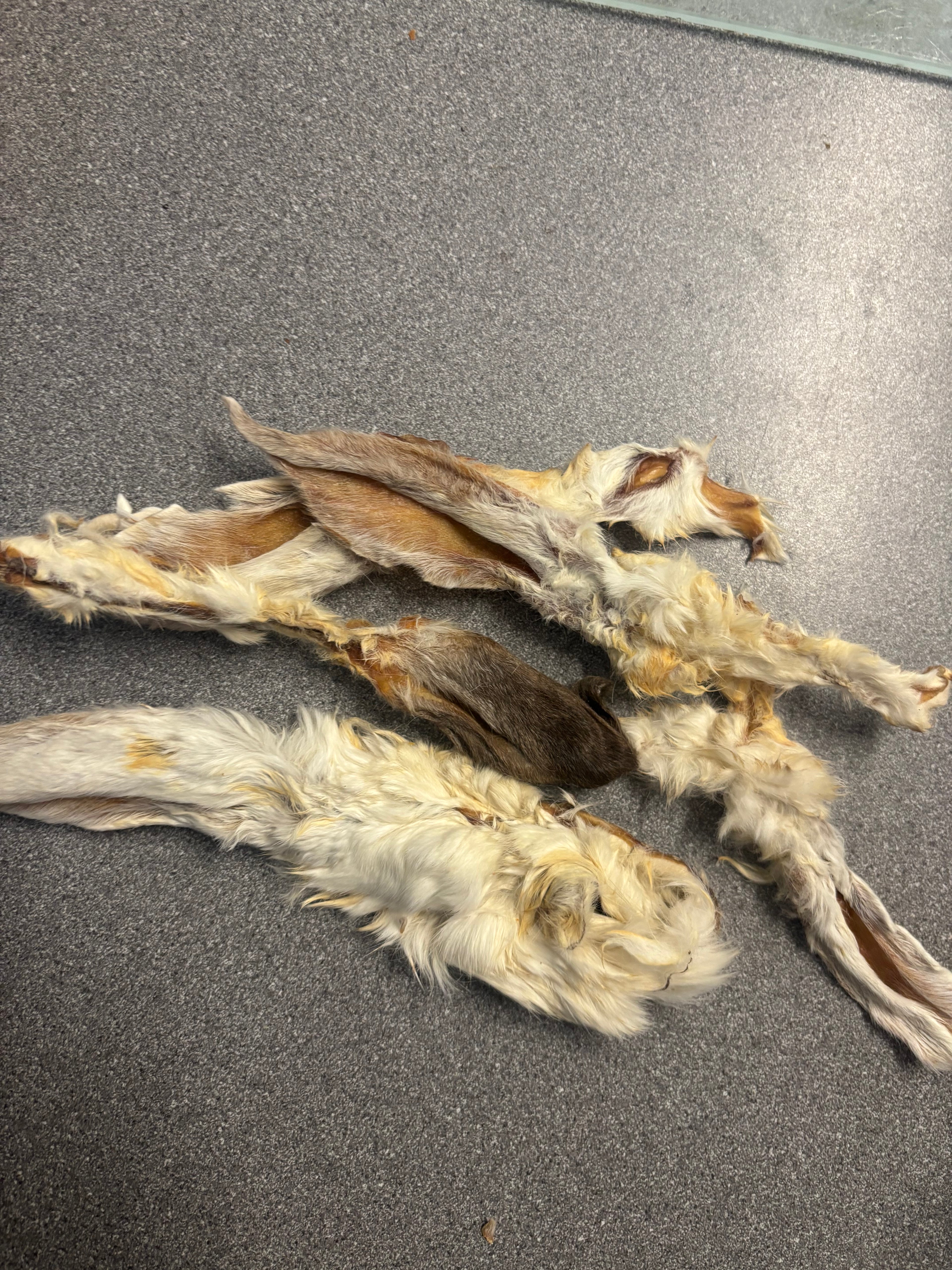 500g furry rabbit ears